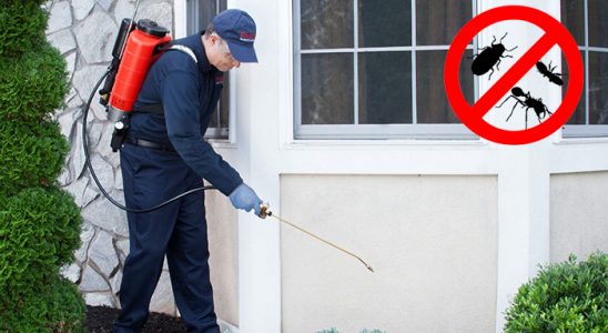 Susurluk Kemirgen İlaçlama böcek ilaçlama ve haşere kontrolü — ilaclama-tr.com